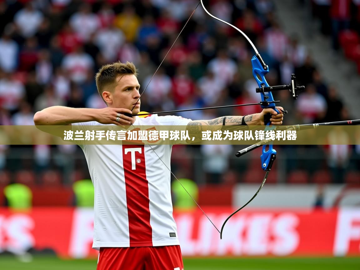 2025 欧宝体育平台介绍波兰射手传言加盟德甲球队，或成为球队锋线利器  第4张