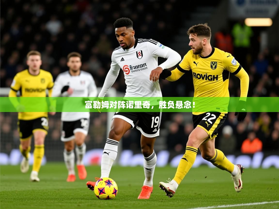 2026 欧宝体育新闻富勒姆对阵诺里奇,胜负悬念! 第3张